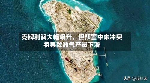 壳牌利润大幅飙升	，但预警中东冲突将导致油气产量下滑-第2张图片