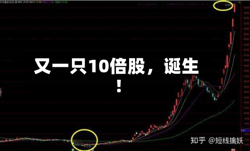又一只10倍股,诞生!