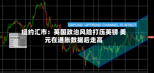 纽约汇市：英国政治风险打压英镑 美元在通胀数据后走高-第2张图片