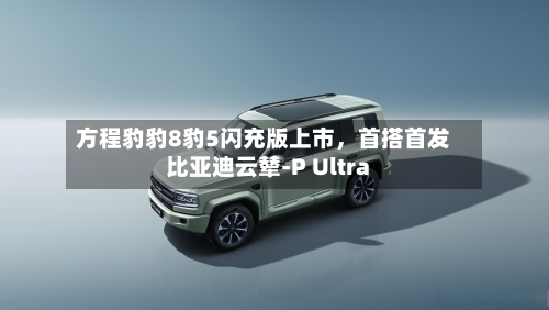 方程豹豹8豹5闪充版上市，首搭首发比亚迪云辇-P Ultra-第2张图片