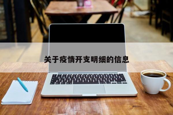 关于疫情开支明细的信息